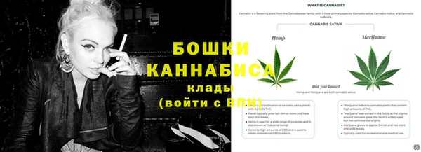 spice Пересвет