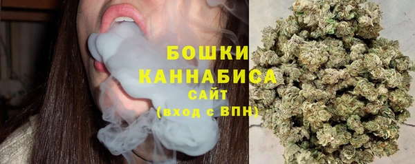 spice Пересвет