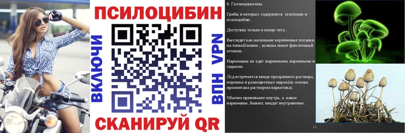 где можно купить Исилькуль Галлюциногенные грибы GOLDEN TEACHER
